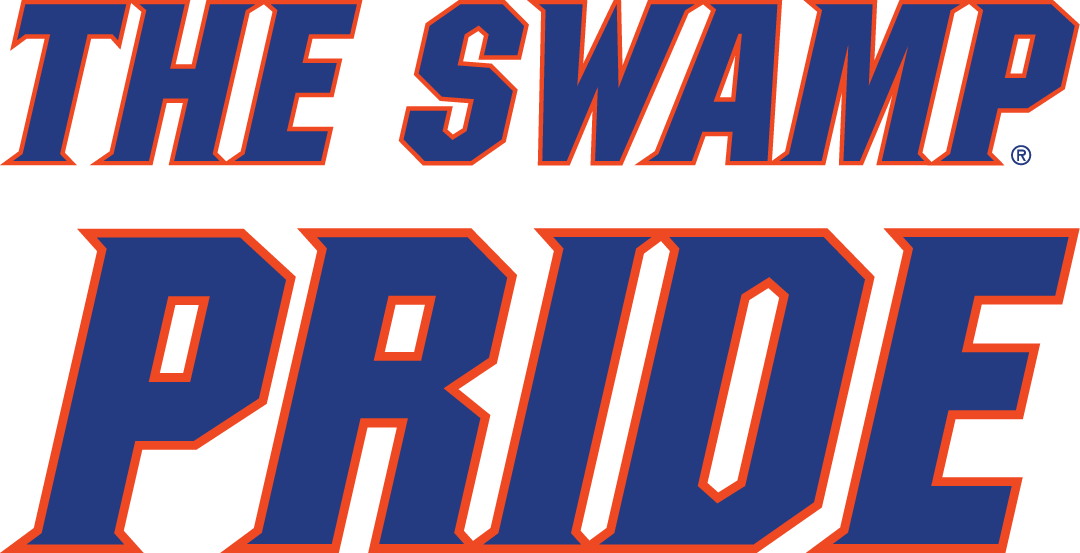 Florida Gators 2011-Pres Wordmark Logo v4 diy iron on heat transfer